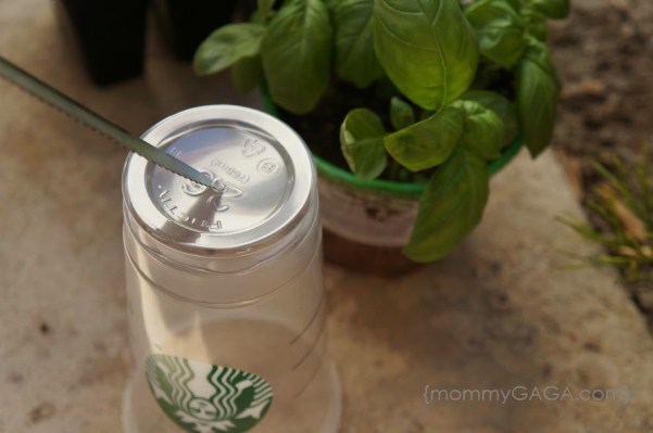 How to make Starbucks Cup Planters - cut drainage hole on the bottom