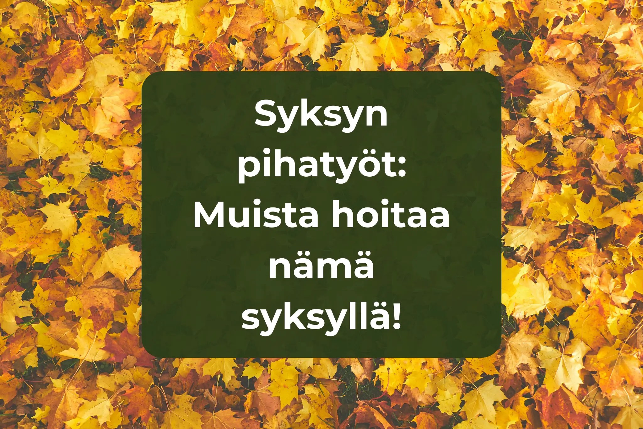 Syksyn pihatyöt valmistavat pihasi talvea varten. Muista nämä syksyn pihatyöt, kiität itseäsi keväällä.