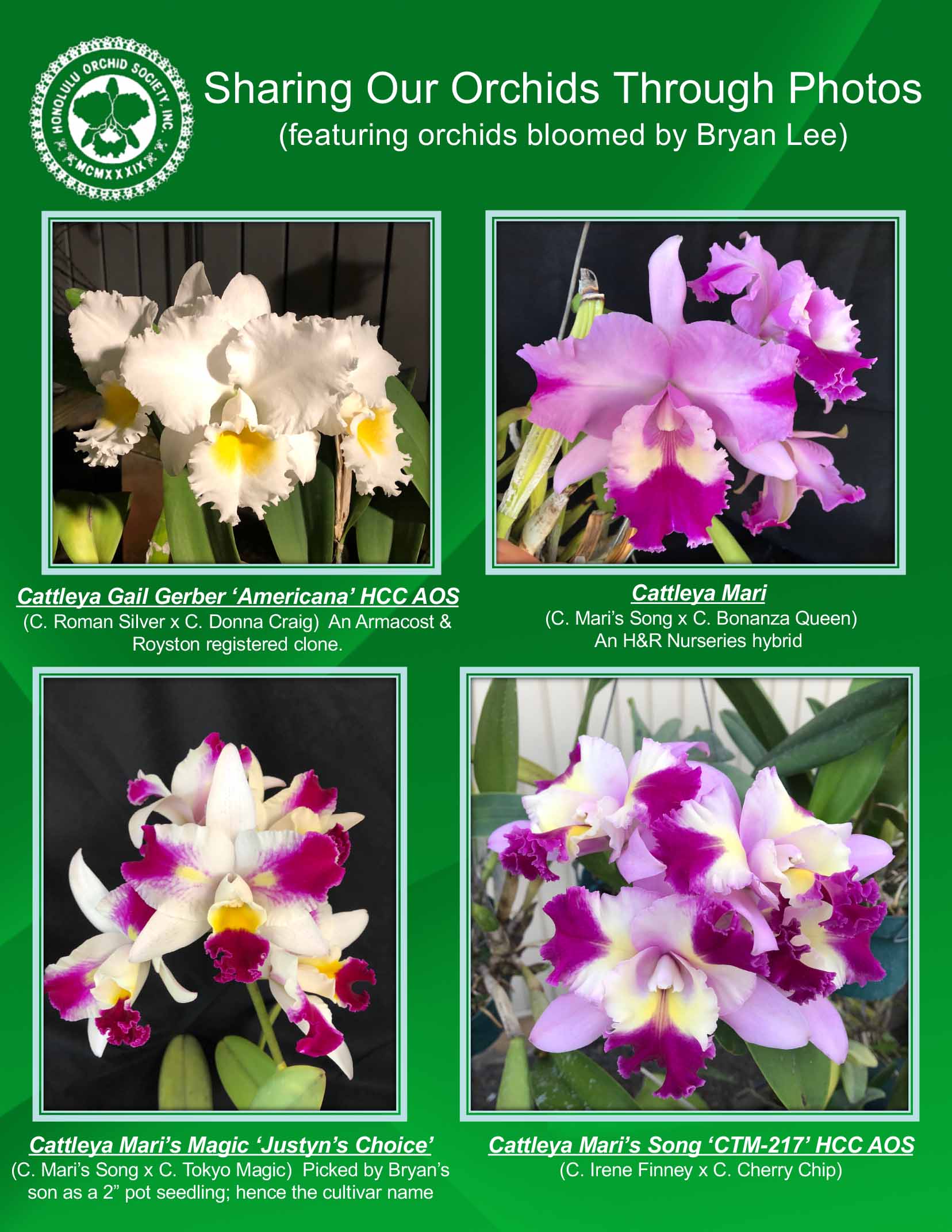 Sharing Our Orchids Through Photos #136–Featuring Orchids