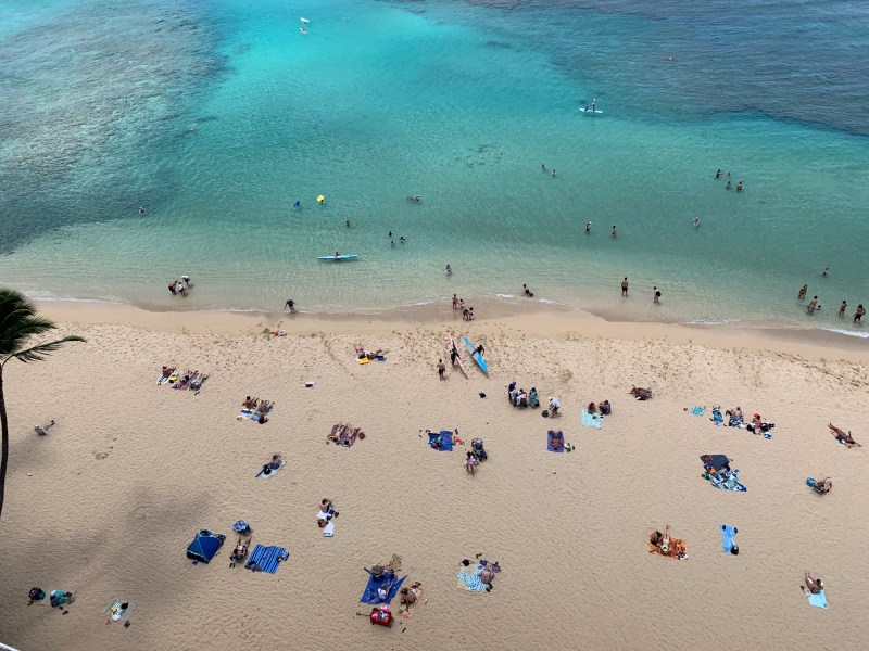 Coastal Design Beach Themed Drawer And Cabinet Knobs Hooks Knobs - Download Elegant Ocean Design | 4K