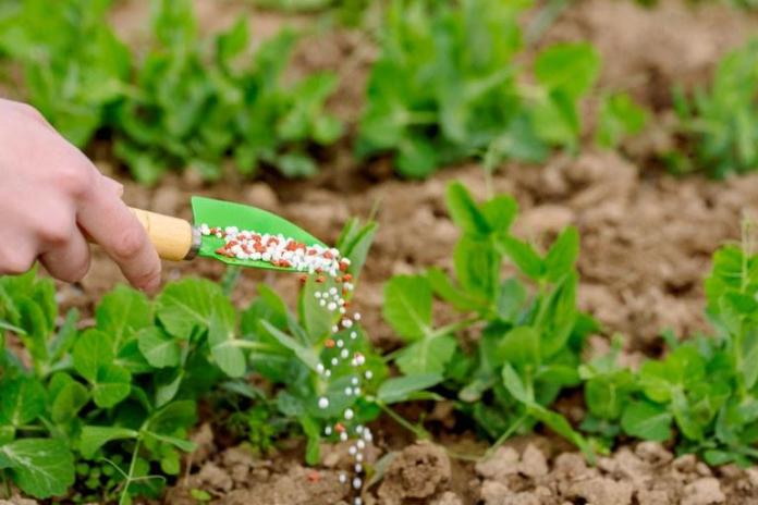 plano de fertilizantes (1)