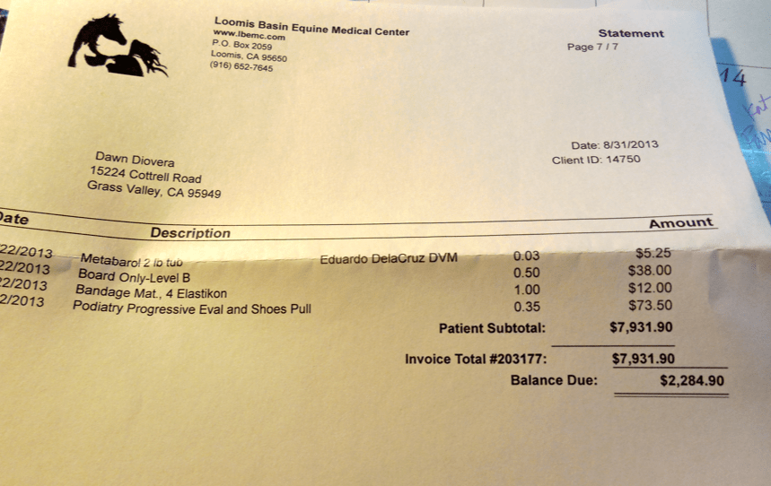 august bucket fund receipts and an update on betsy rose horse and man