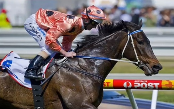 World's fastest horse makes it 17 for 17