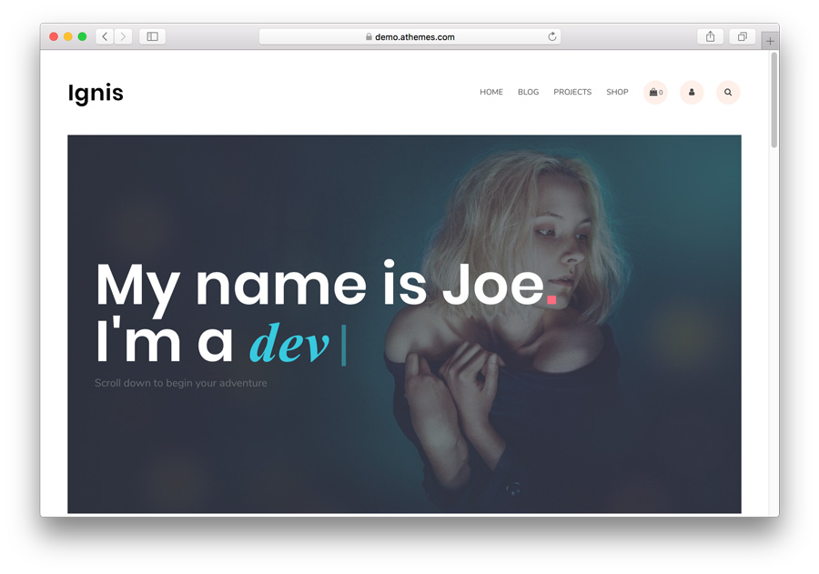 Demikian surat lamaran ini saya buat, besar harapan saya untuk dapat bekerja . 14 Template Portofolio Gratis Dan Berbayar 2021 Di Wordpress