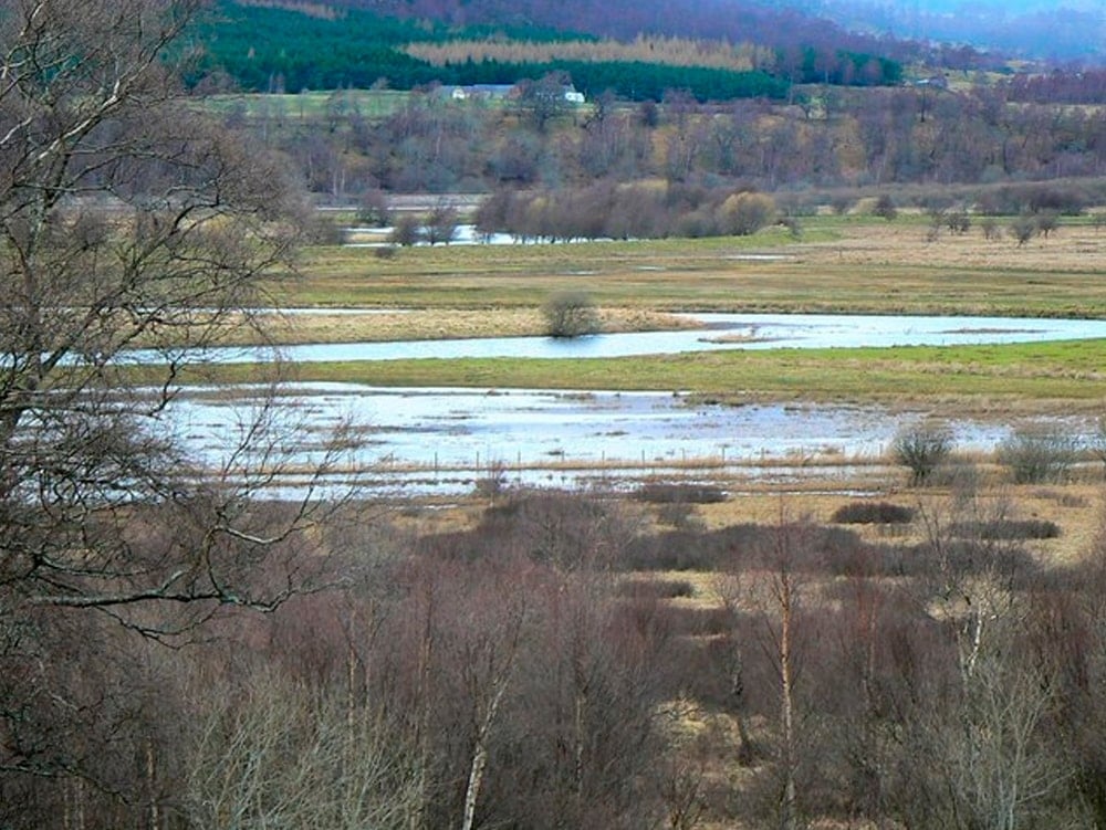 Marshes