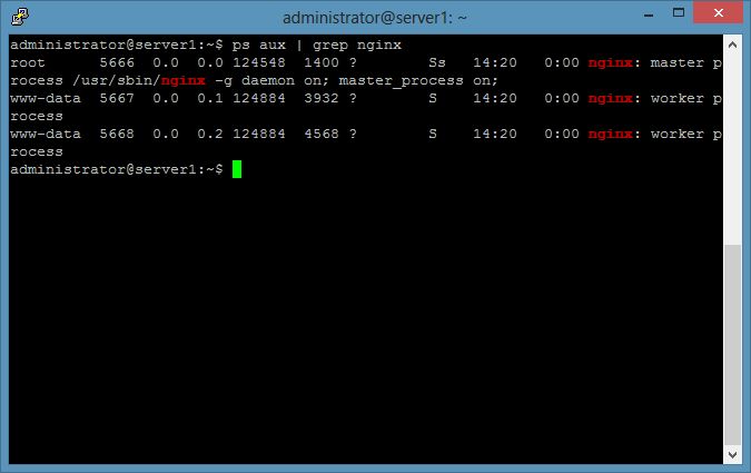 Installing Nginx With Php And Mariadb As Mysql Replacement Lemp On Ubuntu 15 10 Wiley - Gorgeous HD Ocean Wallpapers | Free Download