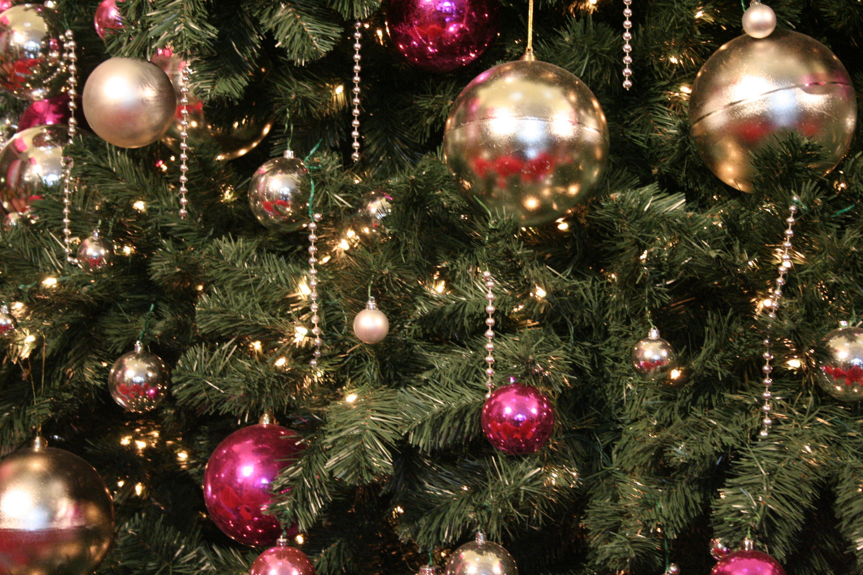 Https Encrypted Tbn0 Gstatic Com Images Q Tbn And9gcsgxydpro58n2mjahjfdvpc8dc9fst4nndlga Usqp Cau