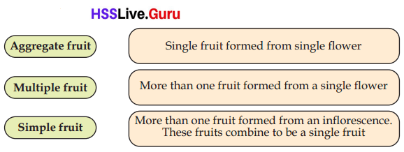 Flowering and Fruiting Class 6 Notes Questions and Answers Basic Science Chapter 4 Kerala Syllabus 1