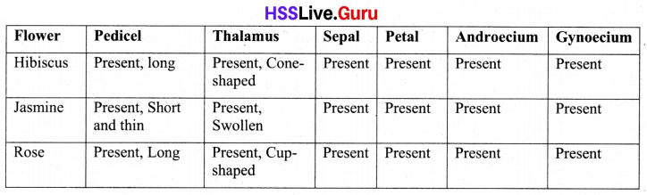 Flowering and Fruiting Class 6 Notes Questions and Answers Basic Science Chapter 4 Kerala Syllabus 19