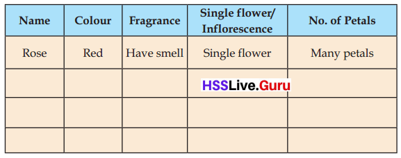 Flowering and Fruiting Class 6 Notes Questions and Answers Basic Science Chapter 4 Kerala Syllabus 4