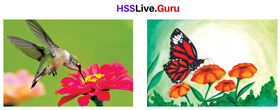 Flowering and Fruiting Class 6 Notes Questions and Answers Basic Science Chapter 4 Kerala Syllabus 8