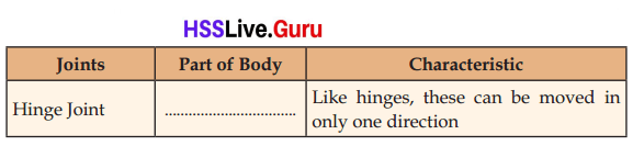 Let's Stand Straight Class 6 Notes Questions and Answers Basic Science Chapter 3 Kerala Syllabus 13