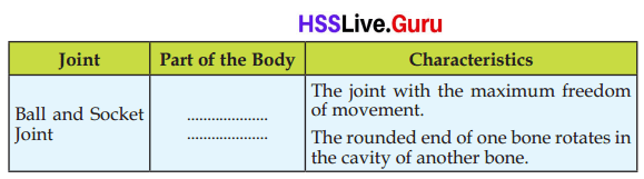 Let's Stand Straight Class 6 Notes Questions and Answers Basic Science Chapter 3 Kerala Syllabus 16