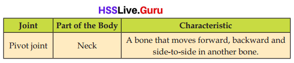 Let's Stand Straight Class 6 Notes Questions and Answers Basic Science Chapter 3 Kerala Syllabus 18
