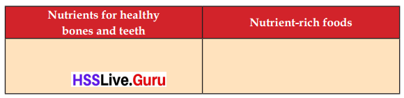 Let's Stand Straight Class 6 Notes Questions and Answers Basic Science Chapter 3 Kerala Syllabus 22