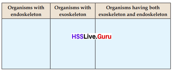 Let's Stand Straight Class 6 Notes Questions and Answers Basic Science Chapter 3 Kerala Syllabus 26