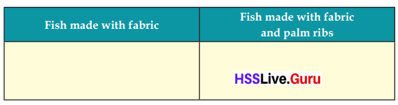 Let's Stand Straight Class 6 Notes Questions and Answers Basic Science Chapter 3 Kerala Syllabus 5