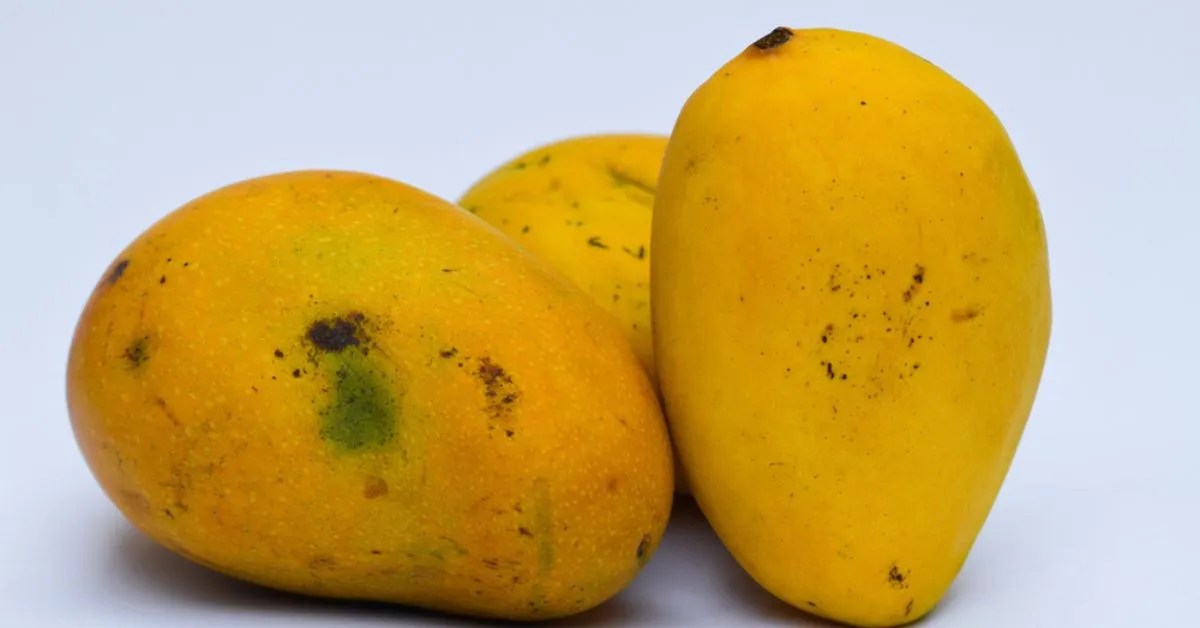 South indian banganapalli mangoes