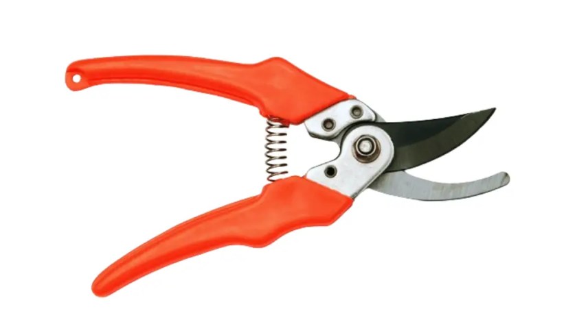 Red color pruning shears