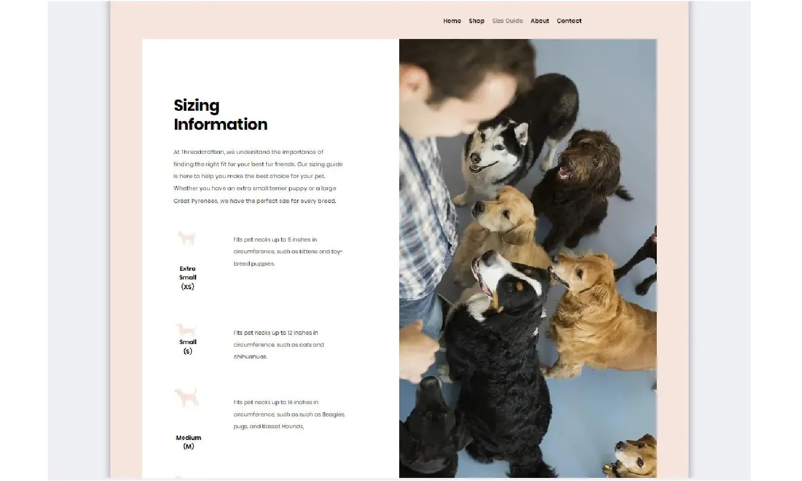 Vert No Code Professional Website Builder B12 - Download Beautiful Geometric Illustration | Mobile