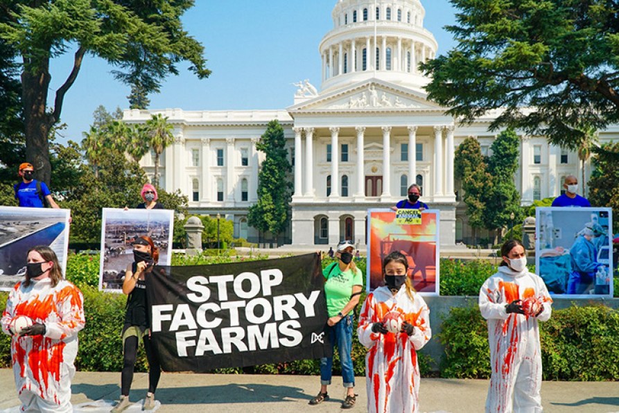 The End of Meat and GMOs or the End of Us