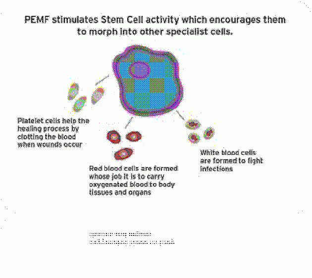 Cell Change PEMF8000