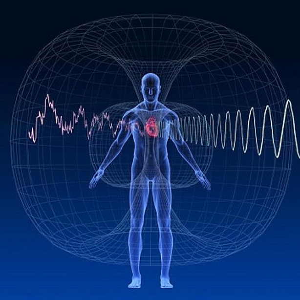 PEMF8000 Biomagnetic-field