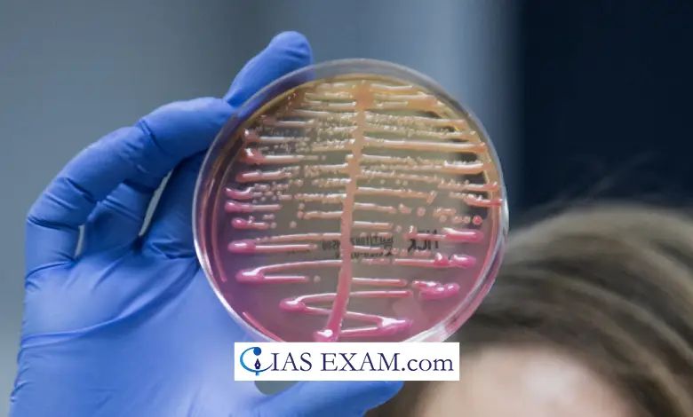 Reverse Transcriptase Upsc - Beautiful Light Design - High Resolution