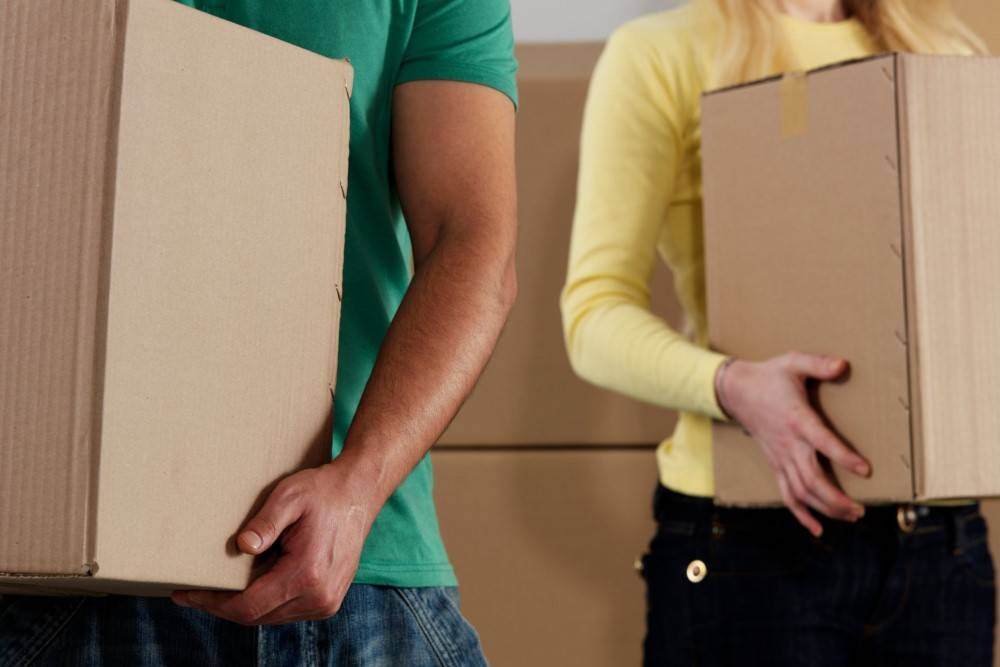 How To Cleanse Data Effectively During Migration - Premium Gradient Photo Gallery - 4K