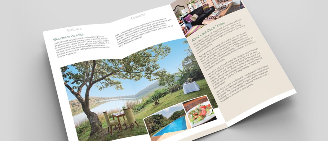 colour brochure, tree, lake