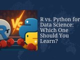 R Vs Python For Data Science Which One Should You Learn