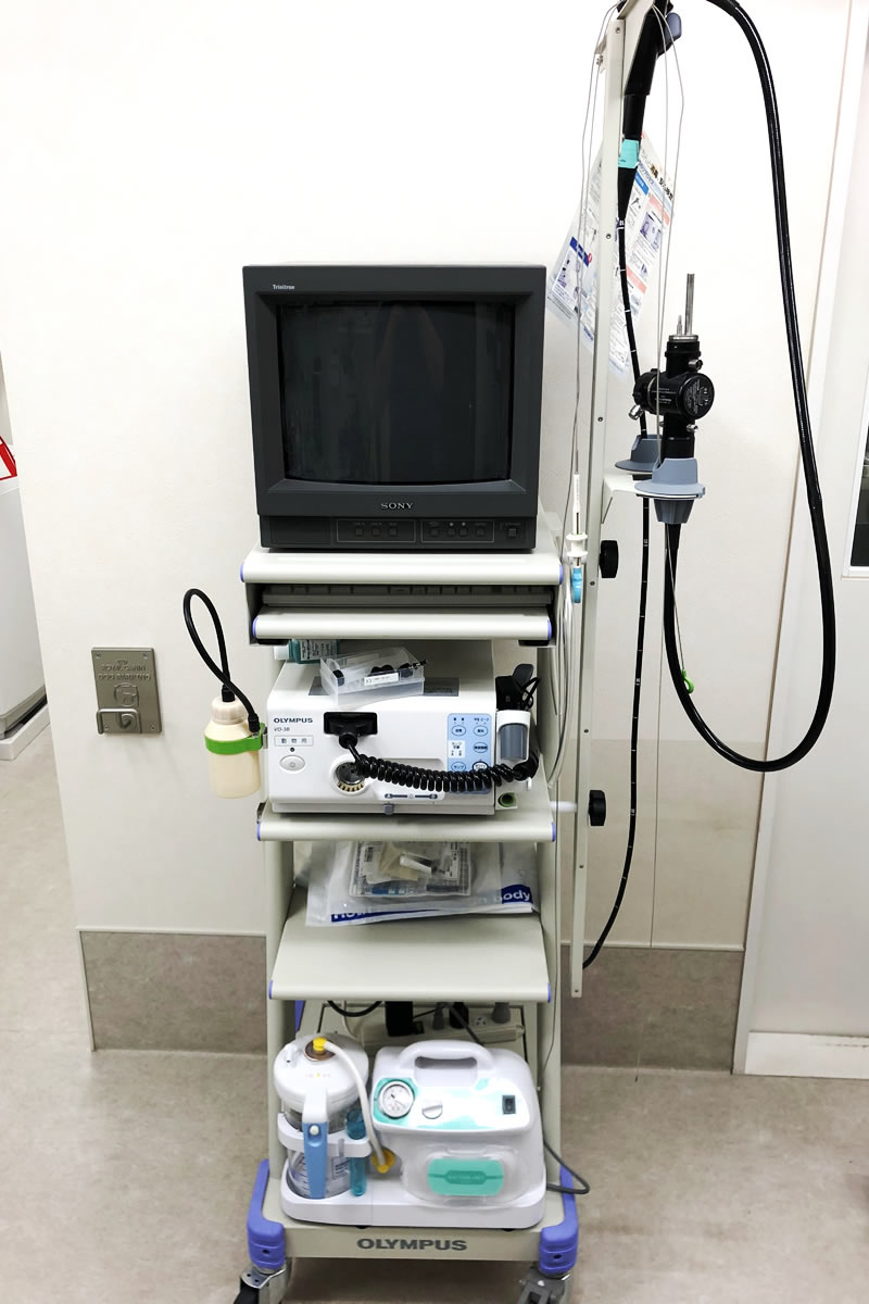 診療案内｜いちかわペットクリニック｜埼玉県坂戸市