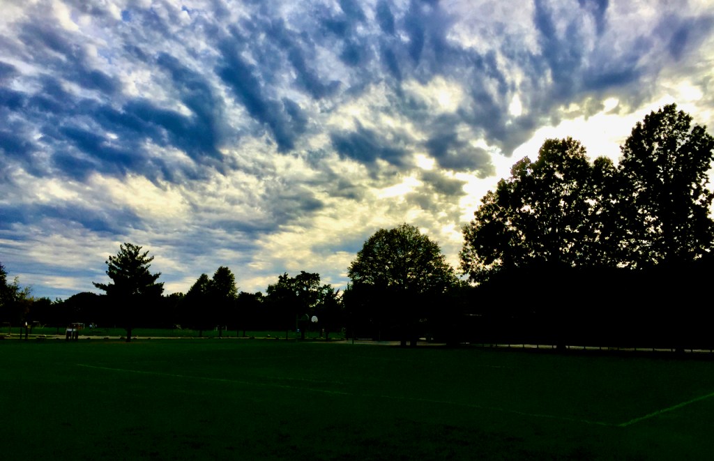 Clouds frame the trees in a picture of dusk.