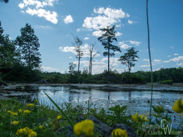 Kittatinny Valley State Park