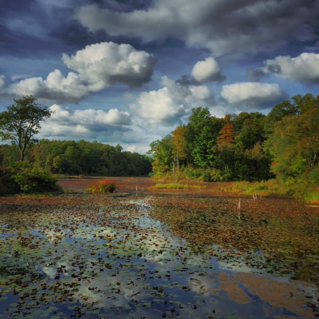 reflection, clouds Fall Colors