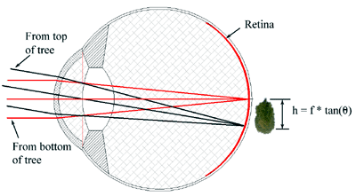 How a telescope works