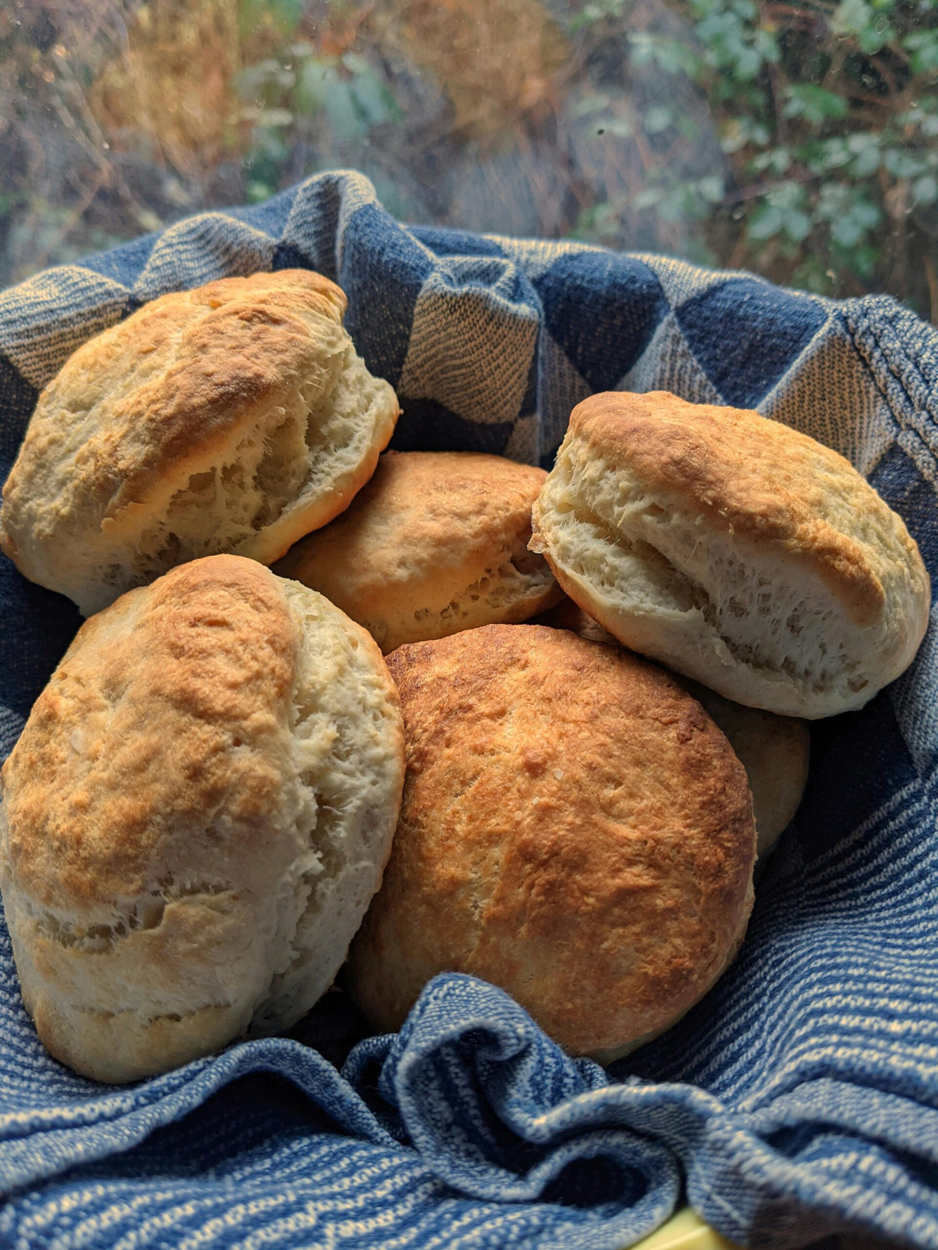 Buttermilk Biscuits – Imboden Live