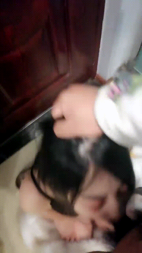 我在上戏学表演,古风女神,皮肤白的晶莹剔透,173cm大长腿,所有男人钟爱 - 截图109