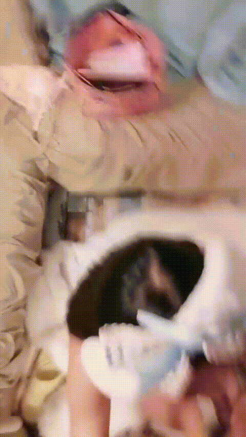 我在上戏学表演,古风女神,皮肤白的晶莹剔透,173cm大长腿,所有男人钟爱 - 截图115