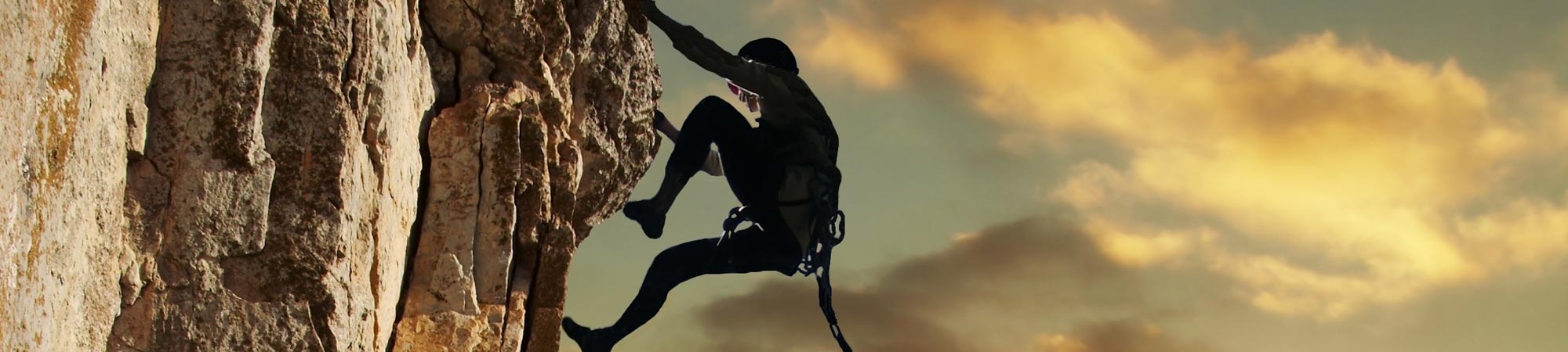 Operationalcapacity Commitmenttoexcellence Stablebusiness - Best Mountain Arts in 8K