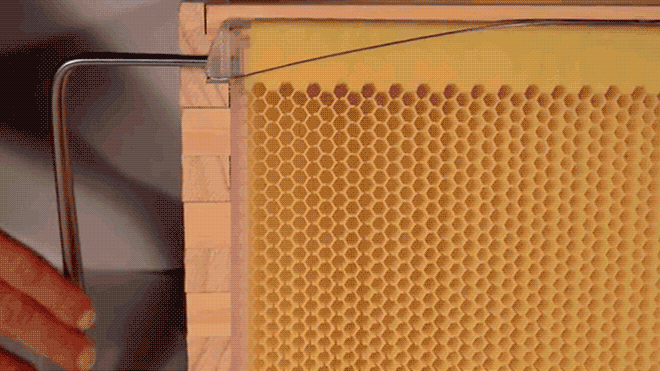 The Flow Hive beekeeping system