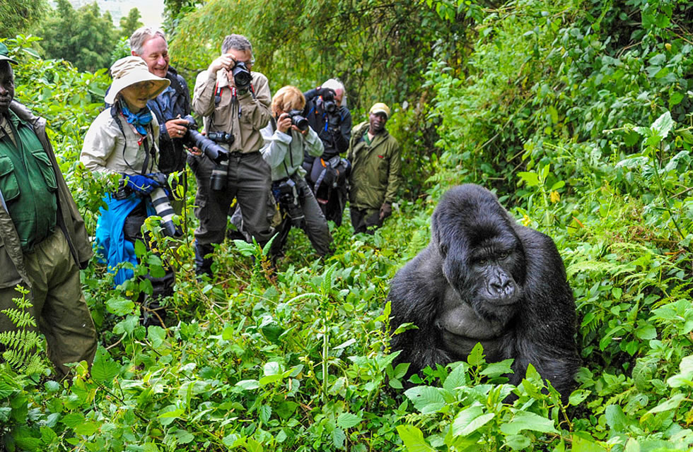 Mu gihe cy’imyaka itanu amadovize yinjizwa n’ibikomoka ku buhinzi yikubye hafi inshuro ebyiri