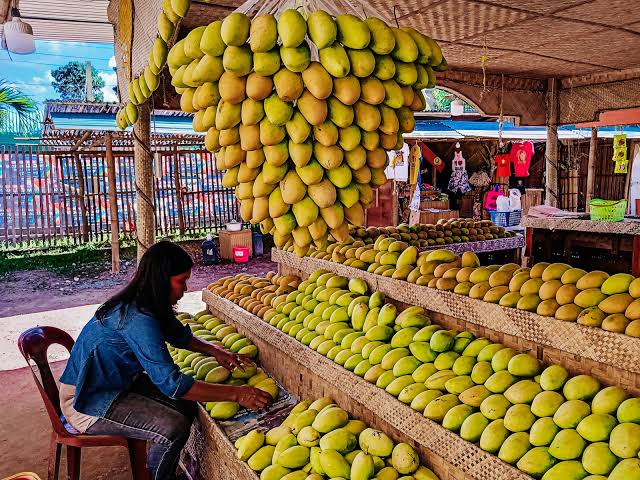 Nava says mangoes to propel Guimaras tourism into new heights