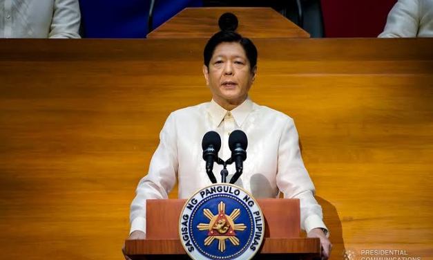 Defensor hopes Marcos will mention Jalaur mega dam, Panay-Guimaras-Negros bridge in SONA