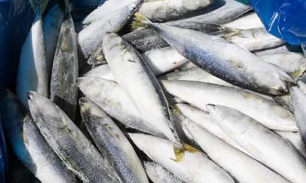 Pangilinan names suspected agri smugglers, hoarders