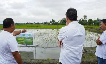 Kiko says rice tariff law failed farmers, consumers