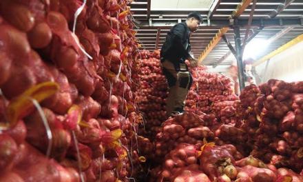 Kiko exposes corruption network in agri smuggling