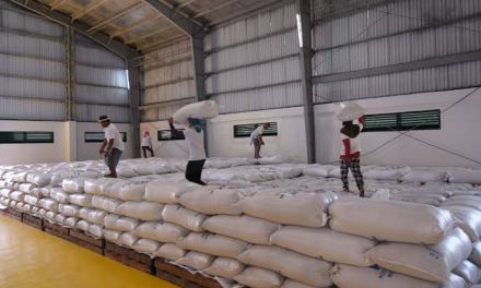Kiko questions NFA’s palay purchases from traders