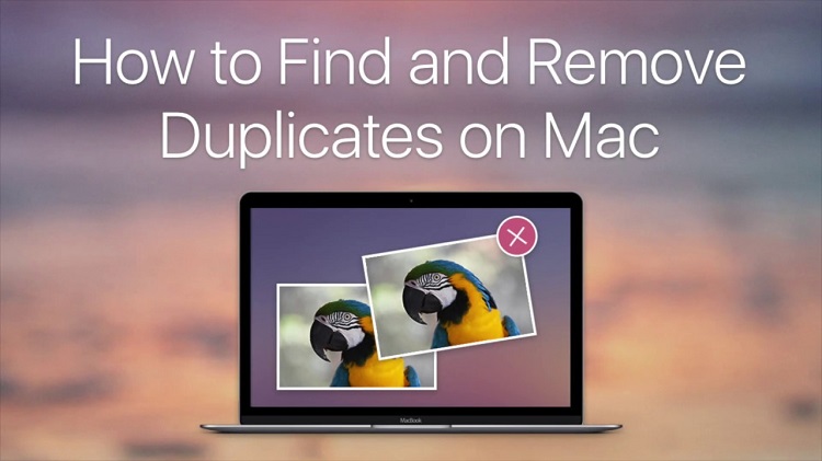 Finding a good dry cleaner in your area can not only save you money but is one of your best clothi. 2020 Top 2 Ways To Delete Duplicate Photos on Mac