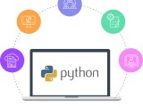 Python Development Company In Delhi Django Development Company Python